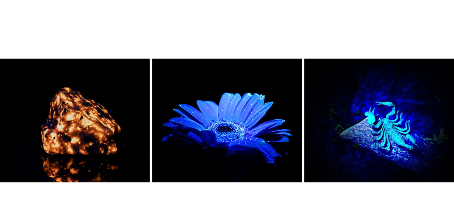 Arkfeld Pro Flat EDC Flashlight with LED Light UV and Laser