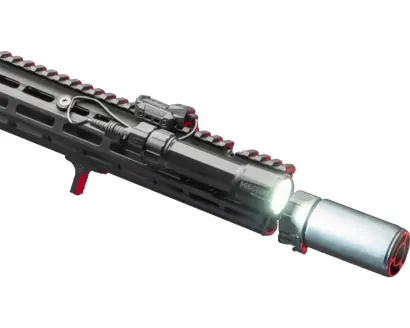Holosun RAID Rifle Light